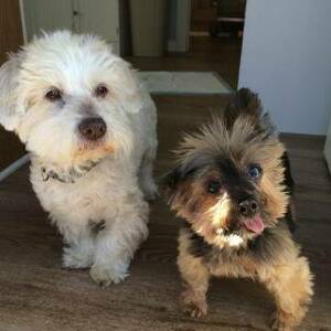 Fundraising Page: Lindsay Reeves